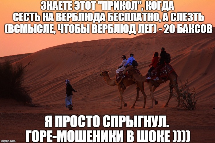 Мем про катание на верблюде